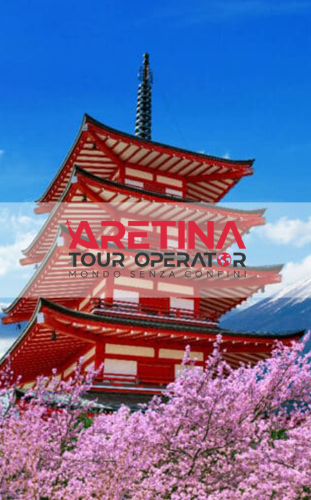 Versione mobile del sito Aretina Tours ottimizzato da SC Web Agency