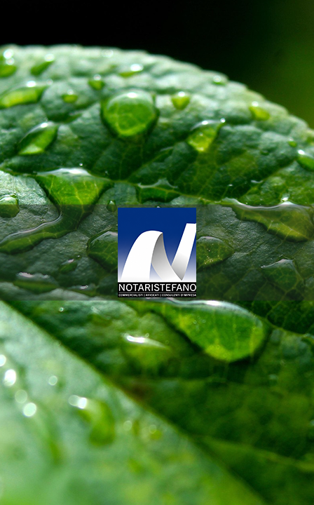 Progetto del sito web di Studio Notaristefano ad Arezzo