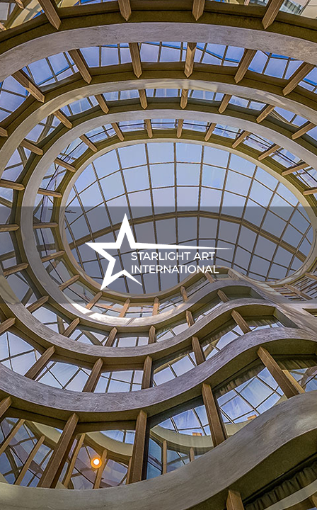 Scheda opera dell'e-commerce internazionale Star Gallery